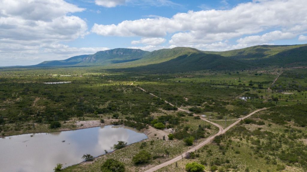 Fazenda a venda no município de Santa Terezinha Bahia Fazenda a venda no município de Santa Terezinha Bahia