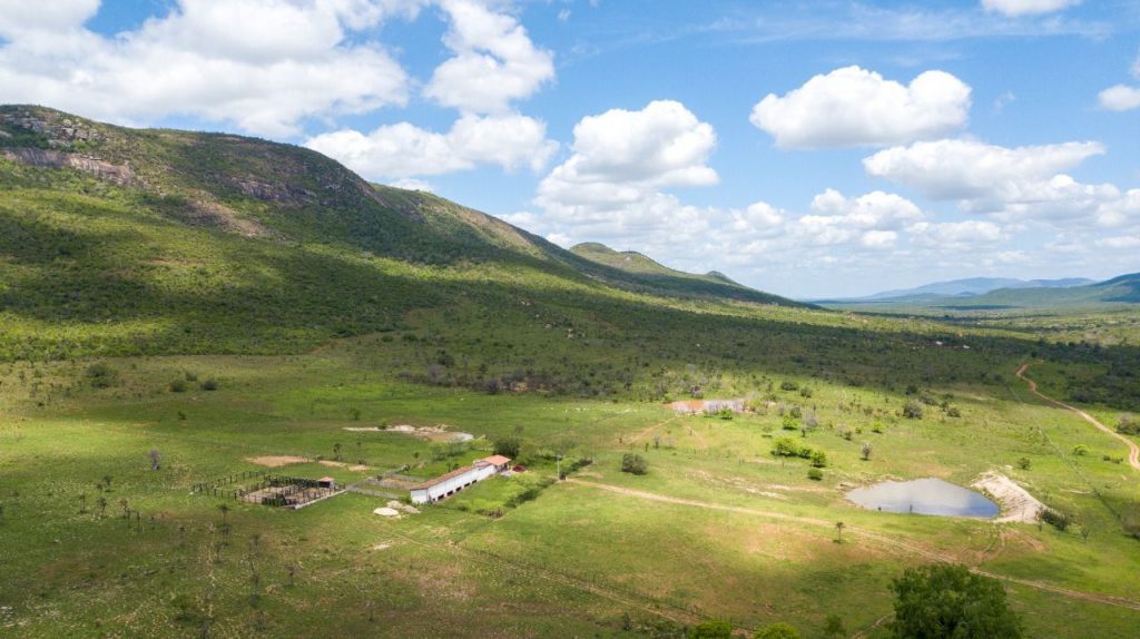Fazenda a venda no município de Santa Terezinha Bahia Fazenda a venda no município de Santa Terezinha Bahia