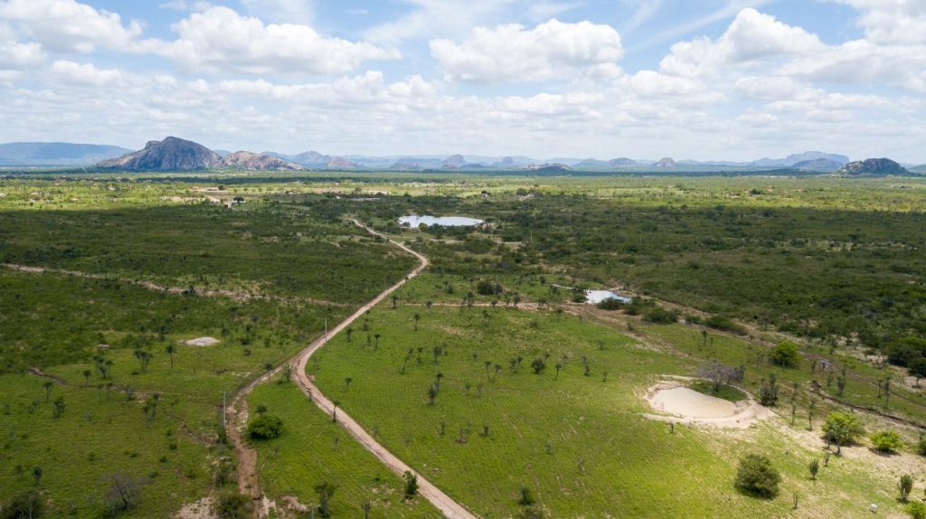 Fazenda a venda no município de Santa Terezinha Bahia Fazenda a venda no município de Santa Terezinha Bahia