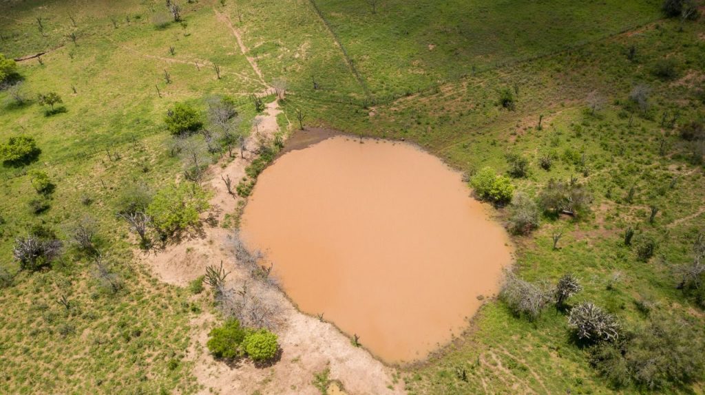 Fazenda a venda no município de Santa Terezinha Bahia Fazenda a venda no município de Santa Terezinha Bahia