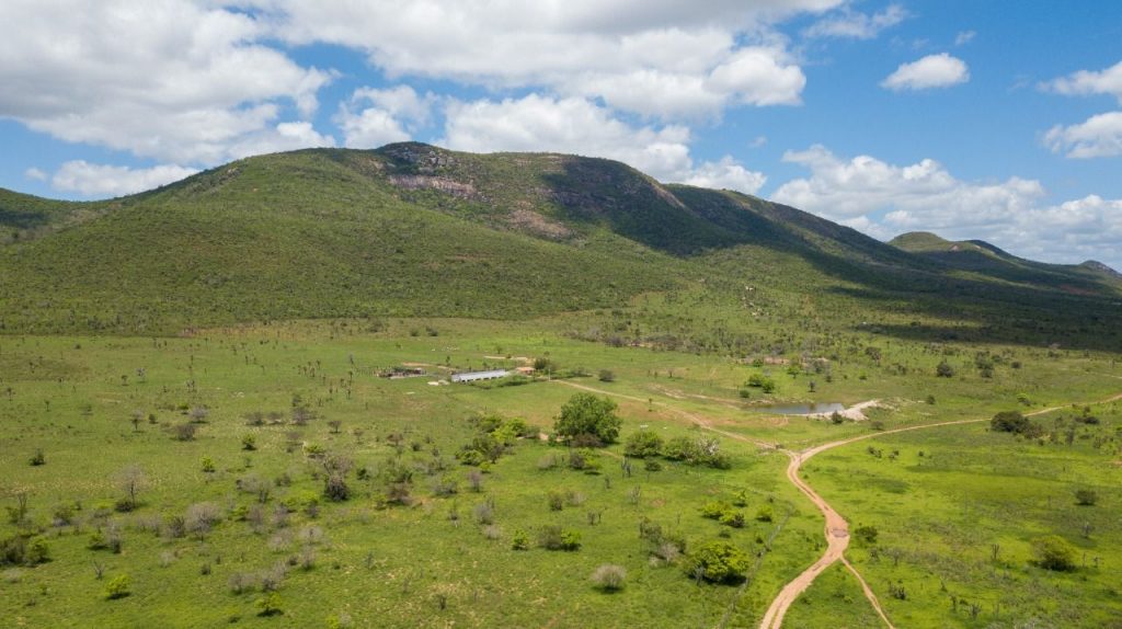 Fazenda a venda no município de Santa Terezinha Bahia Fazenda a venda no município de Santa Terezinha Bahia