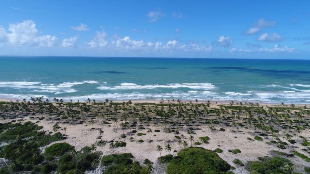 Terreno a venda para investidor na Praia de Subaúma Terreno a venda para investidor na Praia de Subaúma