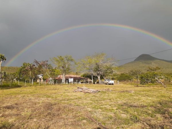 Fazenda dos Sonhos em Santa Terezinha/BA à Venda!