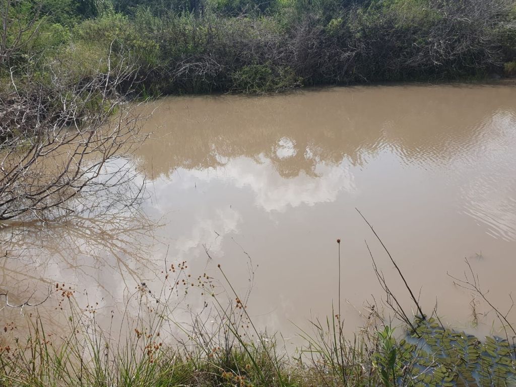 Fazenda dos Sonhos em Santa Terezinha/BA à Venda! Fazenda dos Sonhos em Santa Terezinha/BA à Venda!