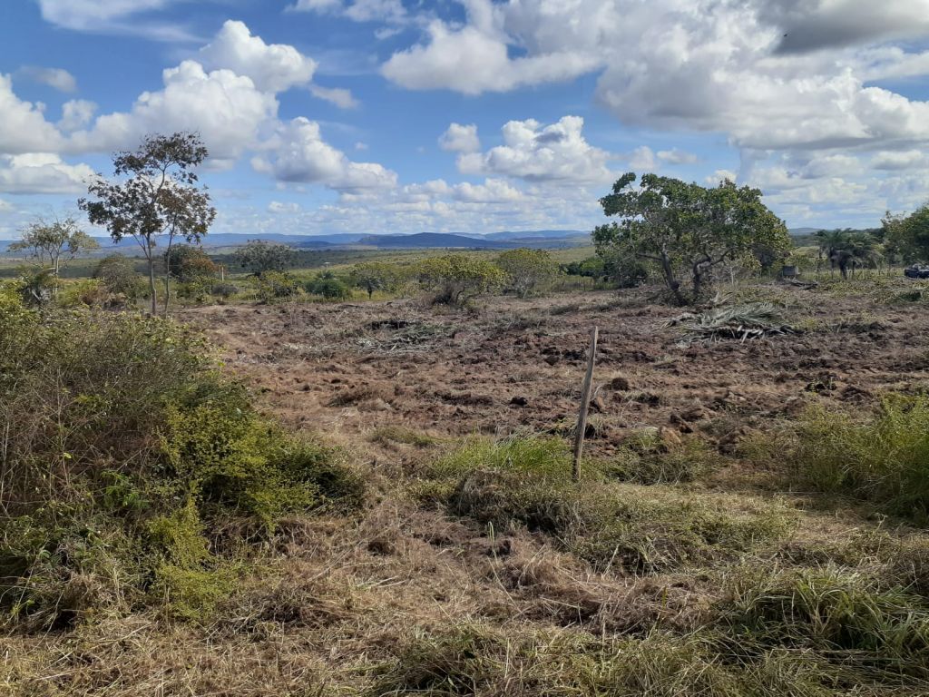 Fazenda dos Sonhos em Santa Terezinha/BA à Venda! Fazenda dos Sonhos em Santa Terezinha/BA à Venda!