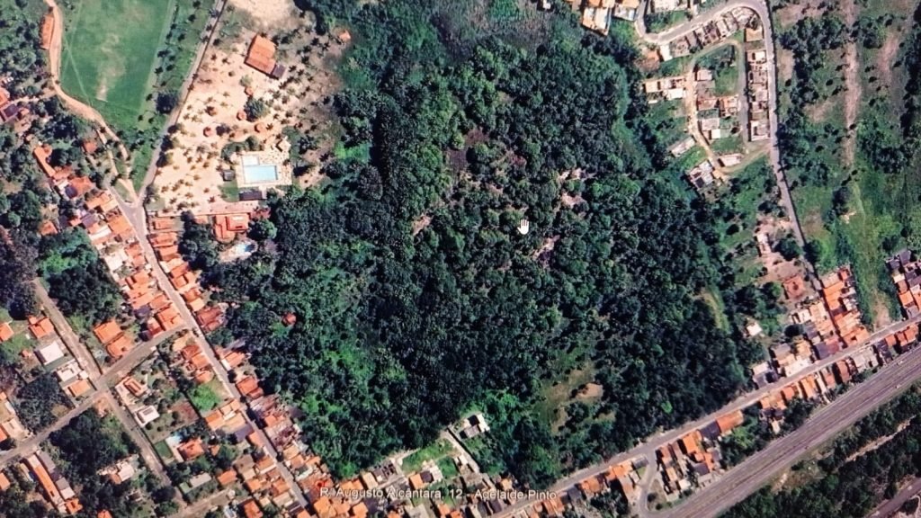 Projeto Rural Integrado: Produção de Aves, Peixes, Suínos, Cultivo Orgânico e Canil em uma Única Propriedade